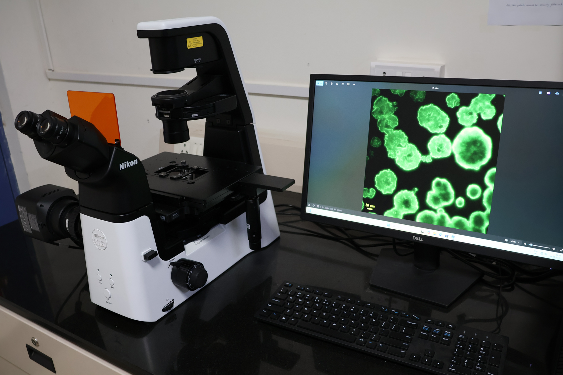 research_facilitie/Inverted_Fluorescence_Microscope.jpeg